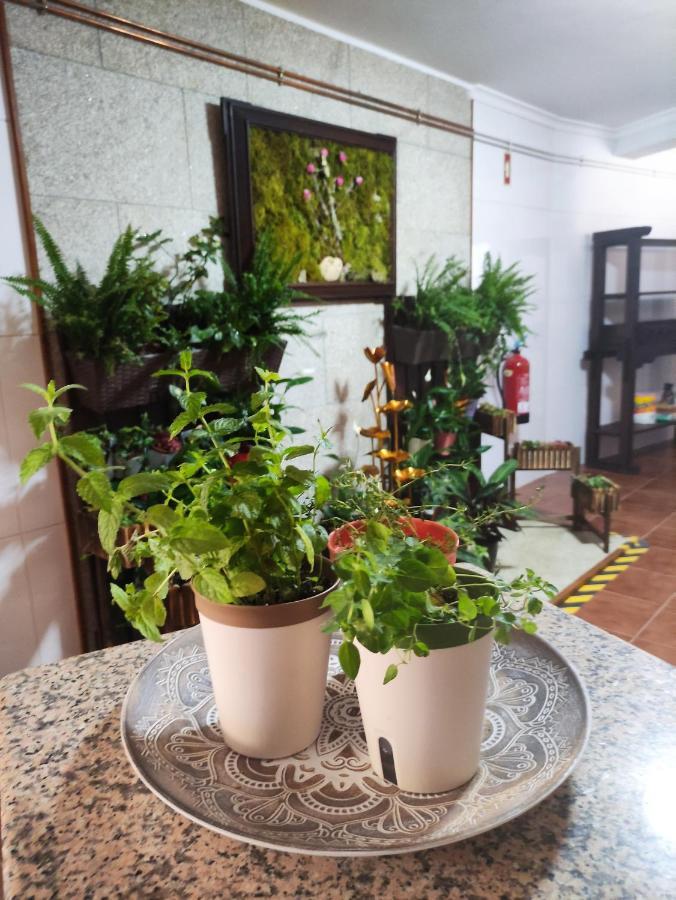 Zimao Garden House Hotel Vila Pouca de Aguiar Exterior photo